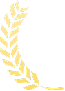 winner's icon